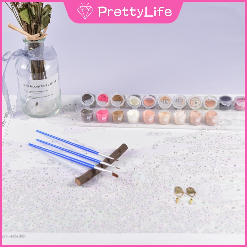 Bộ Tranh Sơn Dầu 40x50cm Tự Làm Hình Cô Gái Dễ Thương Dùng Để Trang Trí Nhà Tiện Dụng + Phụ Kiện