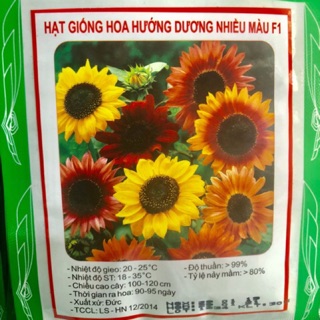 HẠT GIỐNG HOA HƯỚNG DƯƠNG NHIỀU MÀU F1