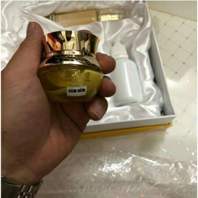 BỘ MẦM TẾ BÀO MEN SỐNG CĂNG BÓNG