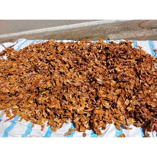 Măng nứa tây bắc