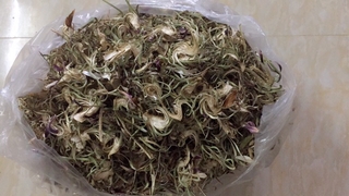 Bông Atiso khô(500gr).