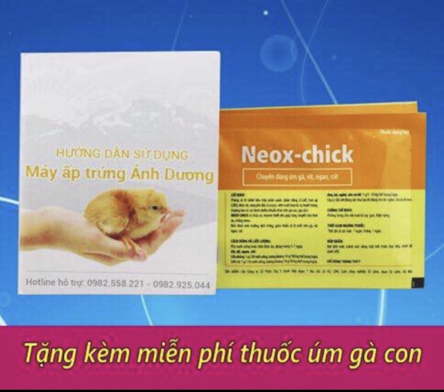 ComBo bộ điều khiển p100+mô tơ đảo+thanh ray trượt+đèn pin+gói um+SHD