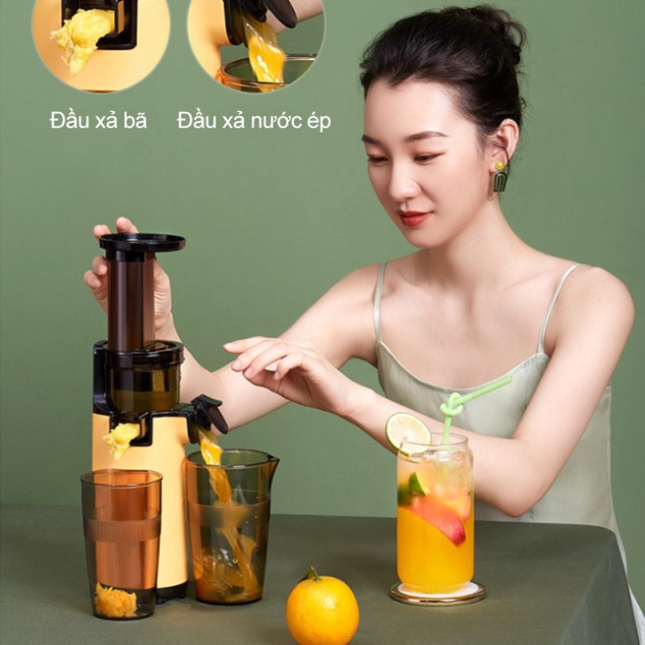 Máy Ép Chậm Hoa Quả Hongxin RH-312, ép rau củ quả, máy ép chậm trái cây