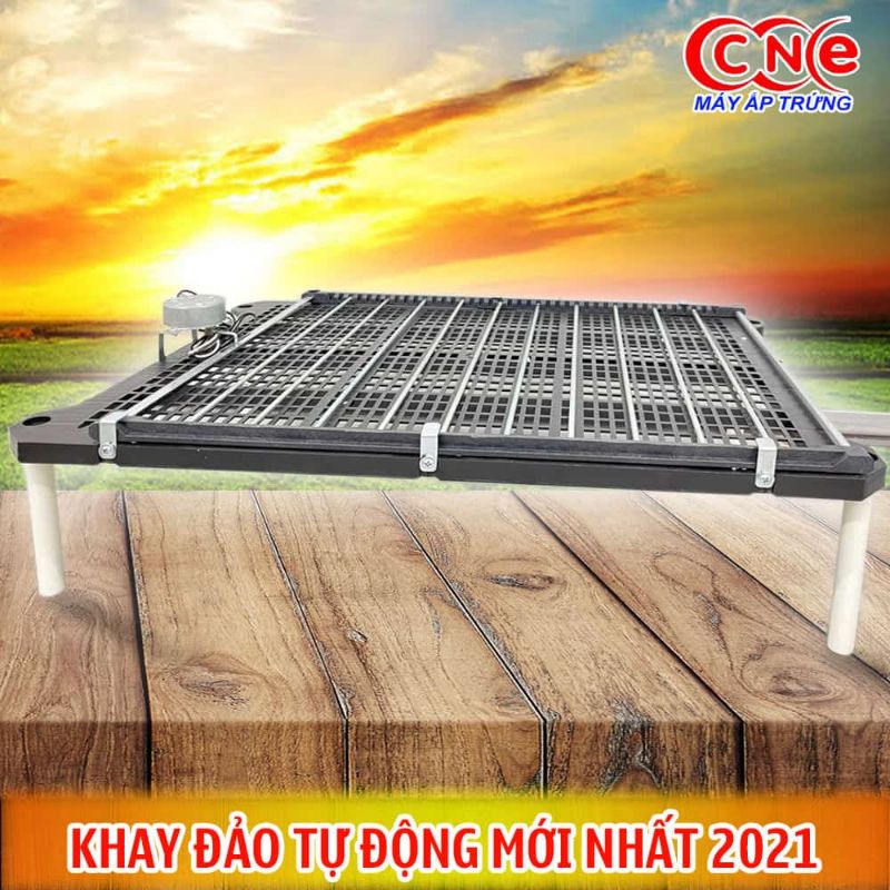 Khay đảo trứng tự động 60 trứng kích thước 54cm x 38.5 cm