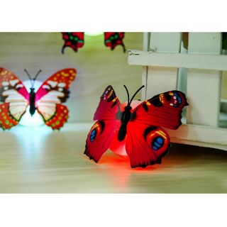 Đèn led bướm phát quang