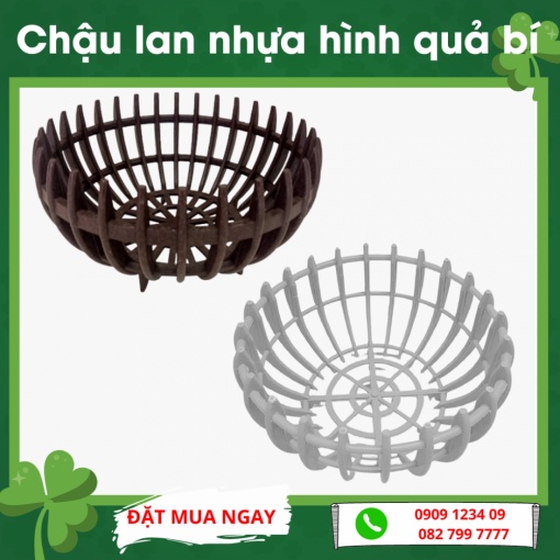 (combo 2 chậu) Chậu lan nhựa hình quả bí (32cm x cao 17cm) - Green City