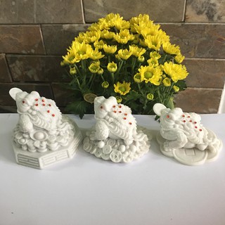 15 màu cóc ngậm tiền - cóc thiềm thừ màu trắng rộng 12 cm cao 10 cm mang tài lộc