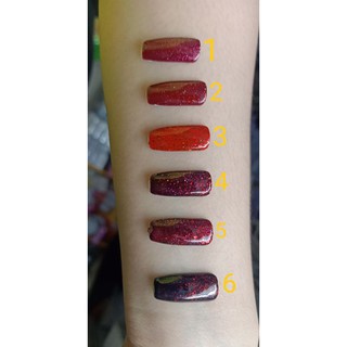 sơn gel set 6 chai 15ml⚡FREESHIP⚡