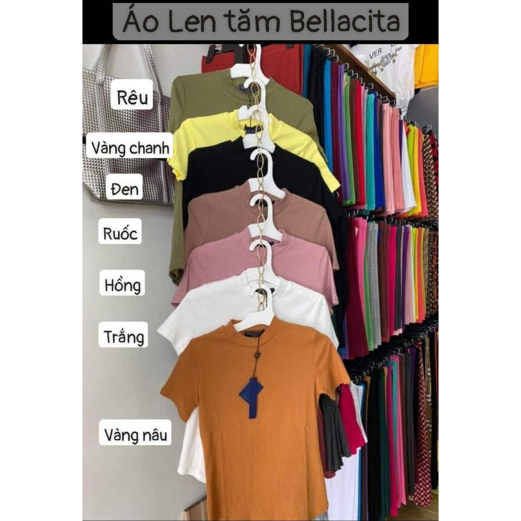 ÁO PHÔNG THUN GÂN BELLACITA chuẩn thun thái lan FREESIZE