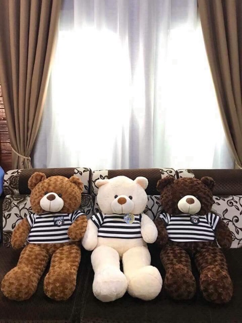 Gấy bông teddy m7