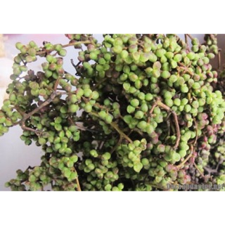 Hạt mắc khén Tây Bắc