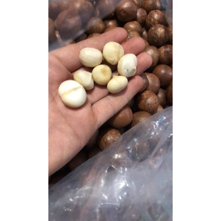 Hạt macca nứt vỏ - (Có tặng dụng cụ tách vỏ) - Loại 1 size lớn