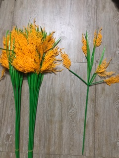 Cành bông lúa 5 bông -80 cm(1 bó 10 cành)