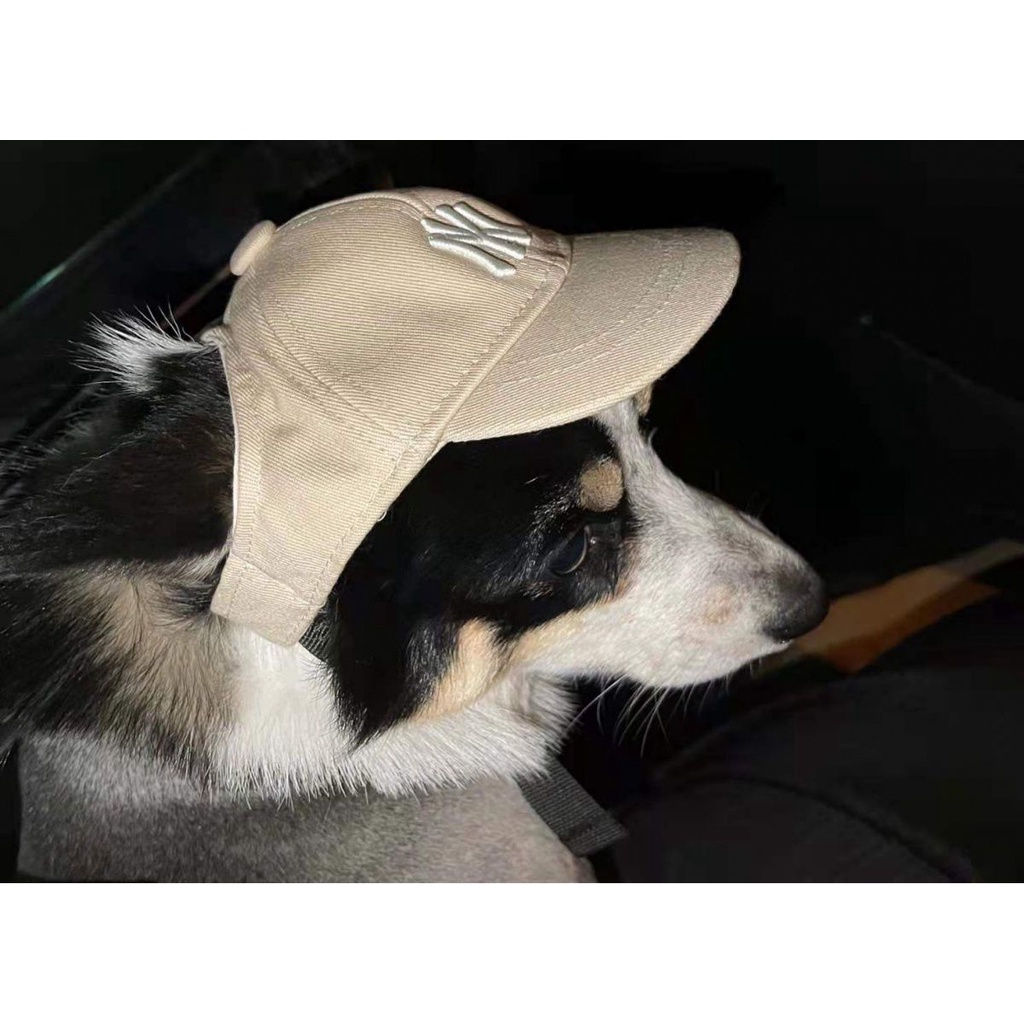 Pet dog hat small dog teddy bear sun hat cat puppy baseball cap