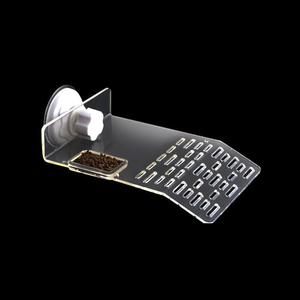 Miếng nhựa tắm nắng chuyên dụng cho rùa