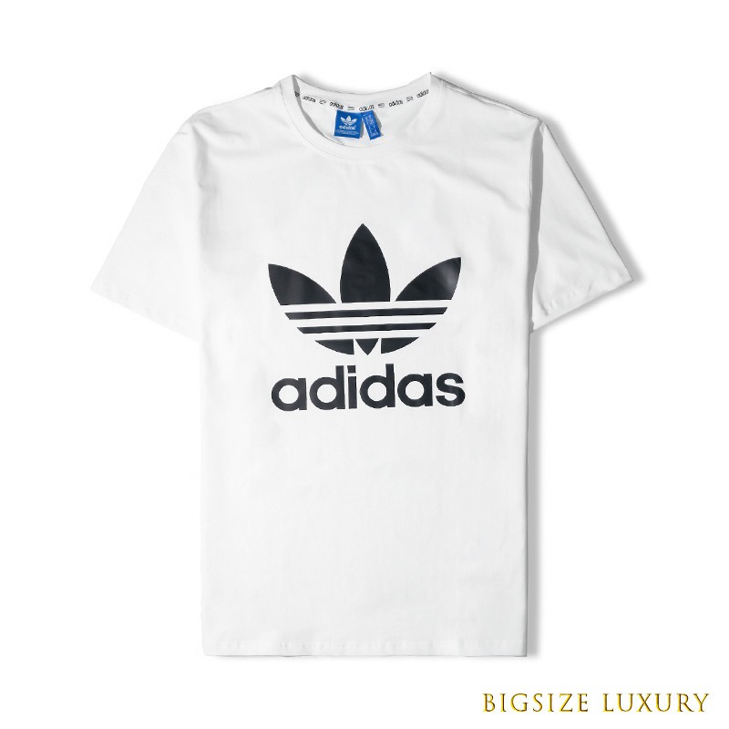 áo thun nam big size 80kg đến 115kg ( ảnh thật + video) | BigBuy360 - bigbuy360.vn