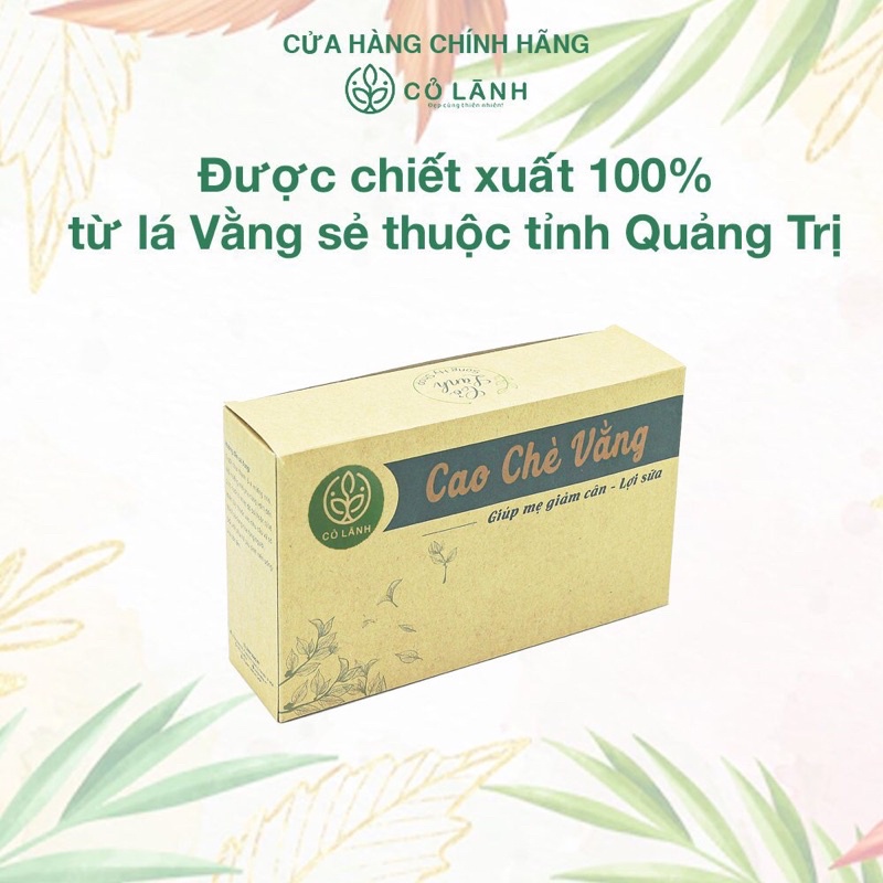 Cao chè vàng Cỏ Lành 500G - Lợi sữa, thanh nhiệt ,giải độc ngăn mụn nhọt