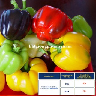 40H - HẠT GIỐNG ỚT CHUÔNG
