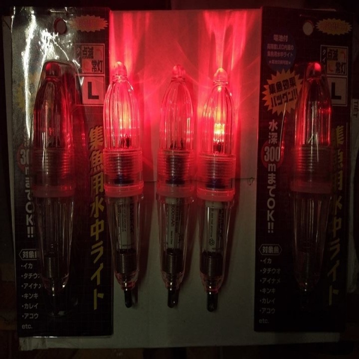 Đèn Dụ Mực, Cá Hố