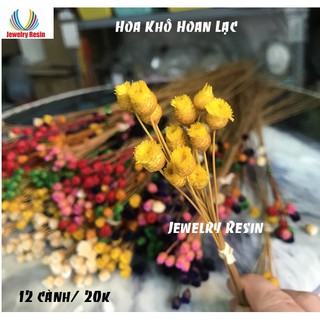 HOA KHÔ HOAN LẠC