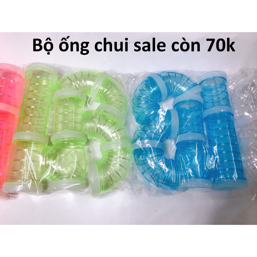 Ống chui hamster