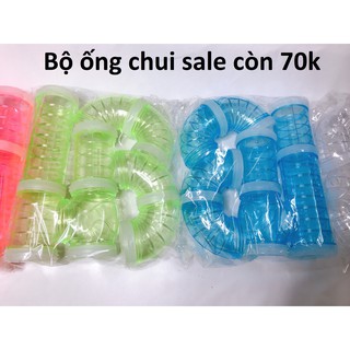 Ống chui hamster