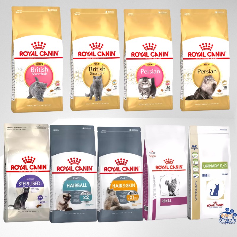 Thức ăn cao cấp của Pháp dành cho mèo Royal Canin