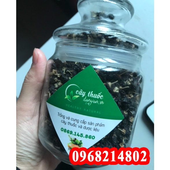 Hạt Giống Cây Hắc Kỷ Tử Tỉ Lệ Mọc 99%