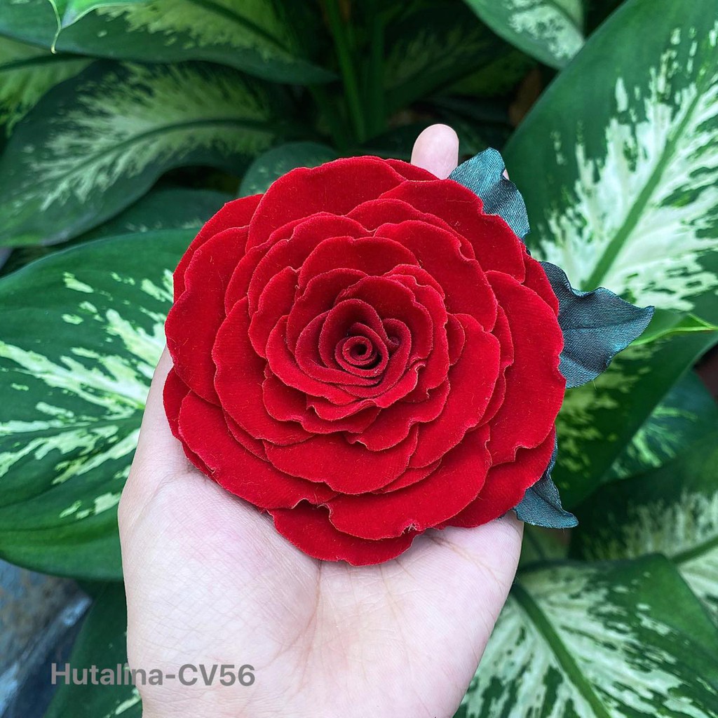 Hoa Cài Áo Handmade Hutalina CV56