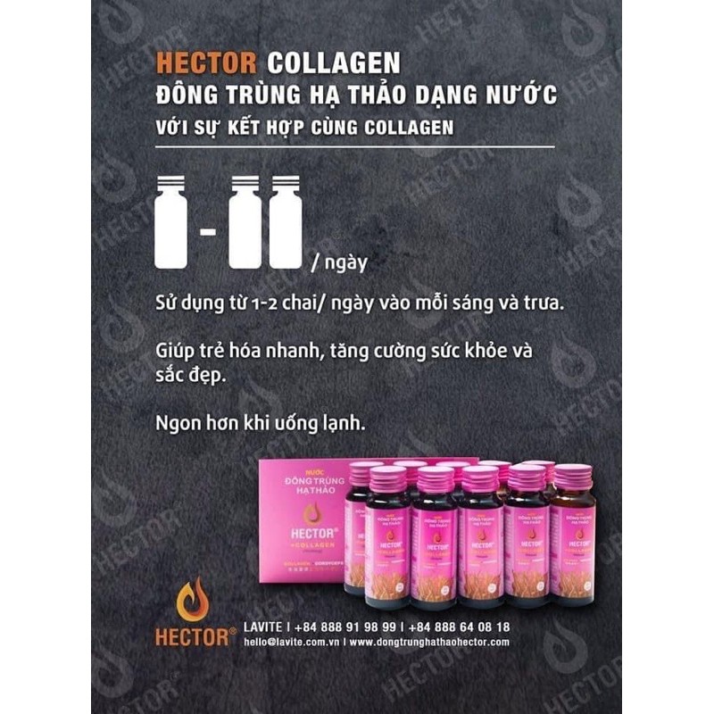 Hector Collagen Đông Trùng Hạ Thảo | BigBuy360 - bigbuy360.vn