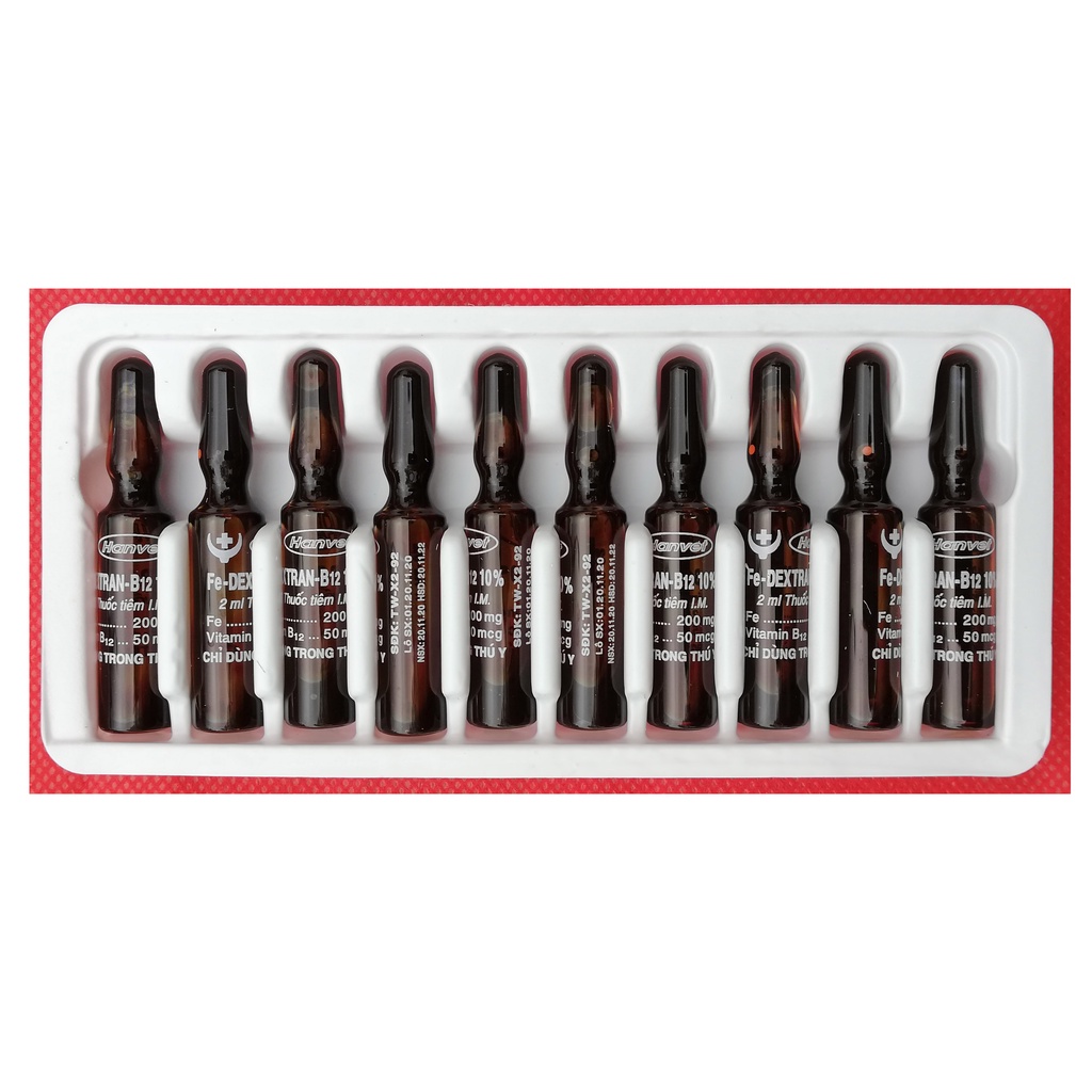 1 vỉ 10 ống Sắt 2 ml Fe-Dextran-B12 10% Dùng cho lợn con, lợn nái, trâu, bò, ngựa, dê, gia súc và chó mèo thiếu máu