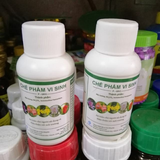 Chế phẩm vi sinh P-Gro làm từ đỗ tương