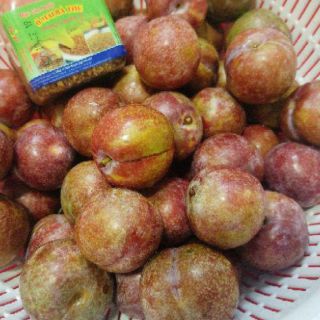 Muối ô mai Bà Thu ( loại ngon đặc biệt gia vị không thể thiếu cho các loại quả)