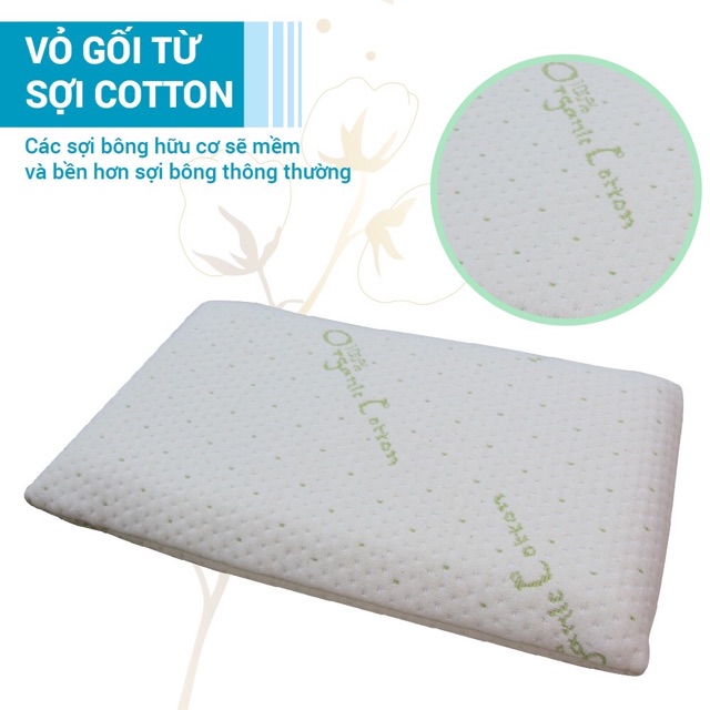 Gối cao su non Cotton hữu cơ ( Organic Cotton) có lỗ chống ngạt cho bé Comfybaby CF06201 chứng nhận GOTS toàn cầu