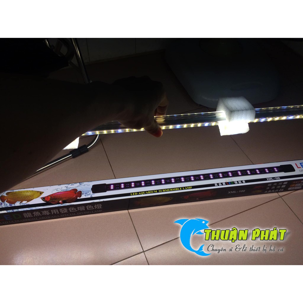 Đèn Led Thủy Tinh XML 80 - 2 Hàng Huyết Long Siêu Đẹp