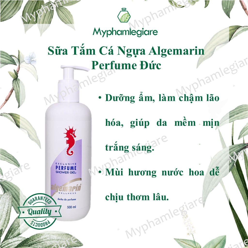 SỮA TẮM CÁ NGỰA HƯƠNG NƯỚC HOA 500ml (có vòi)