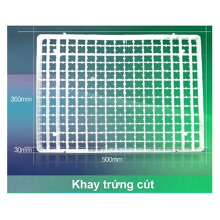 Khay đảo trứng cút B221