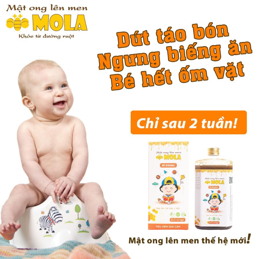 [NEW] Mật Ong Lên Men MOLA ĐỀ KHÁNG