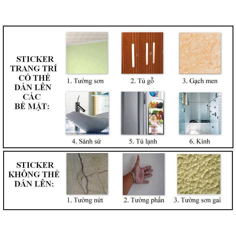 Decal dán tường Hoa Sen Vàng đồng