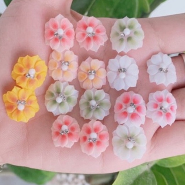 hoa bột -hoa nails ( hoa full chân)