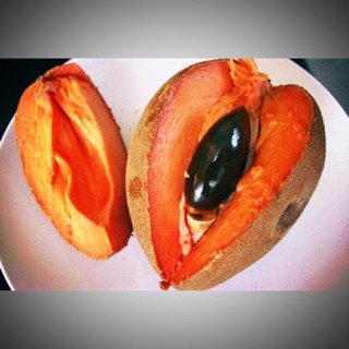 Hồng Xiêm Ruột Đỏ Khổng Lồ - sai giống đền ngay 5 triệu