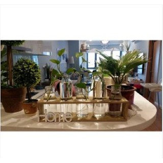Lọ cắm hoa để bàn set 5 lọ