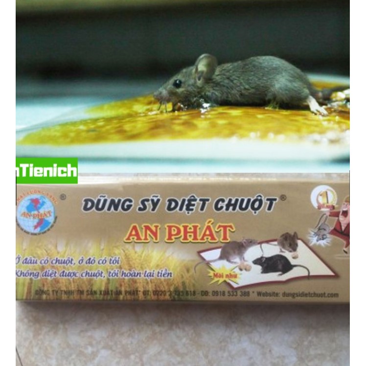 Keo Dính Chuột Siêu Dính An Phát, Diệt Sạch Chuột