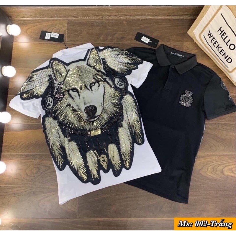 ÁO CỘC THÊU ĐẠI BÀNG, SÓI KIM XA CAO CẤP | BigBuy360 - bigbuy360.vn