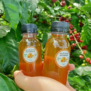 Mật ong nguyên chất hoa cà phê
