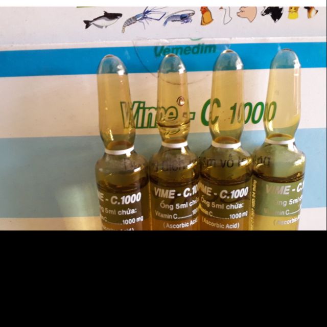 Vitamin C 1000. Dung tích 5ml