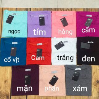 COMBO 11 áo phông cổ Tim