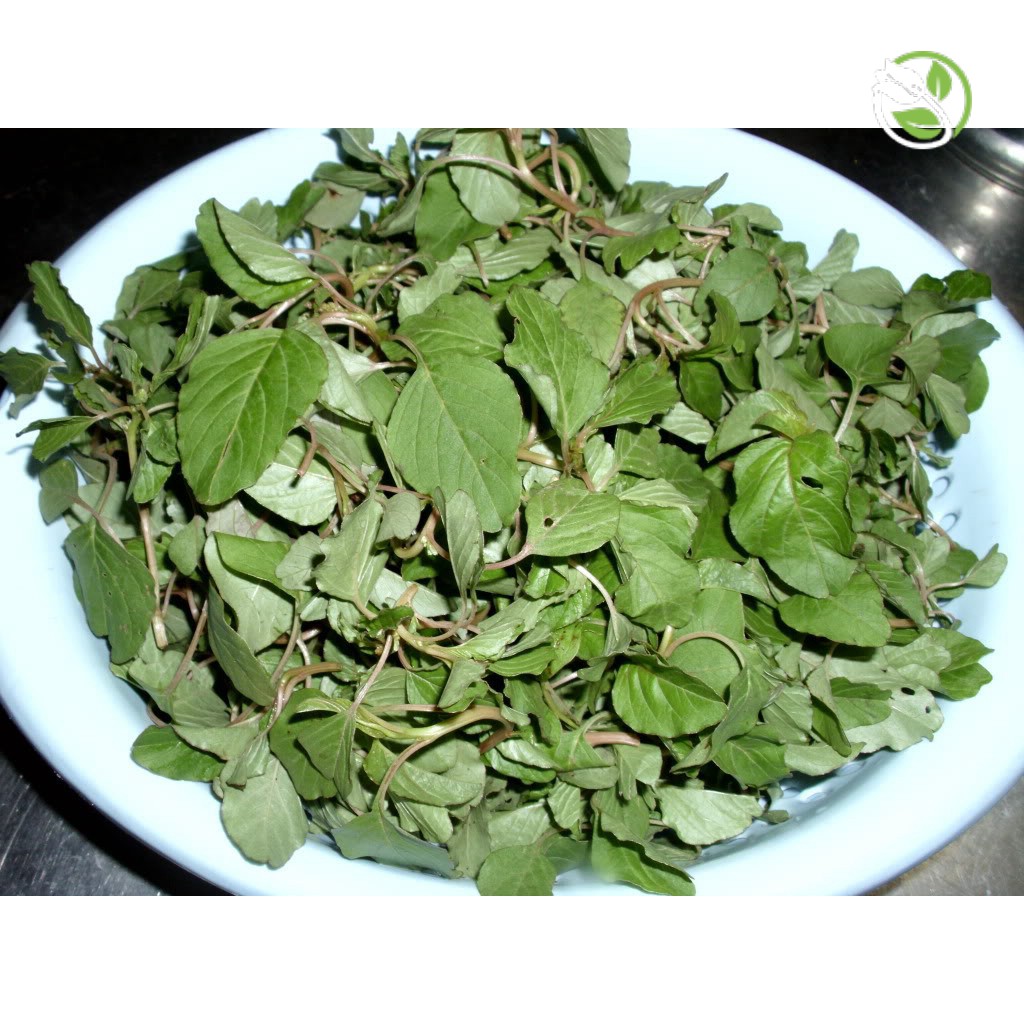 Hạt Giống Rau Dền Cơm 08 Phú Nông - Gói 10g