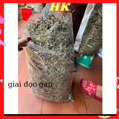 1kg Cà gai leo .khô hàng chuẩn loại 1.mat-gan.giải độc gan. bảo vệ  sức khỏe