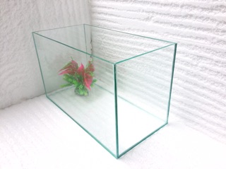 Bể cá size trung